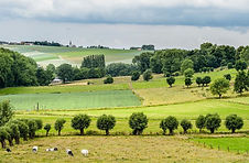 Ontdek de charme van meerdaagse wandeltochten in de Vlaamse Ardennen