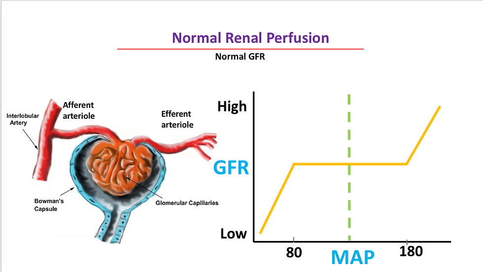 GFR 1