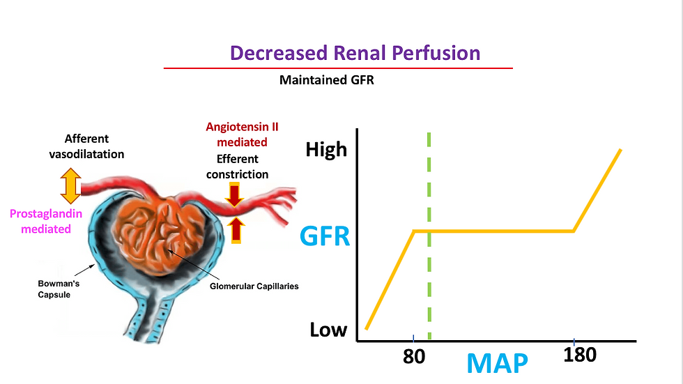 GFR 2