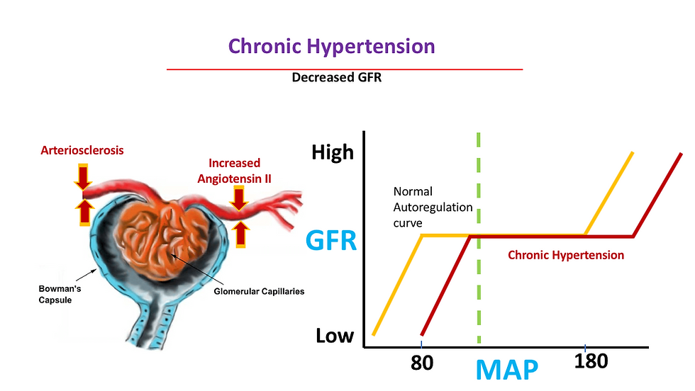 GFR 6