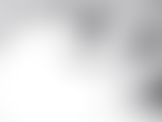 NUR: A Primeira Ursinha Polar Nascida na América Latina e seu encanto no aquário de São Paulo