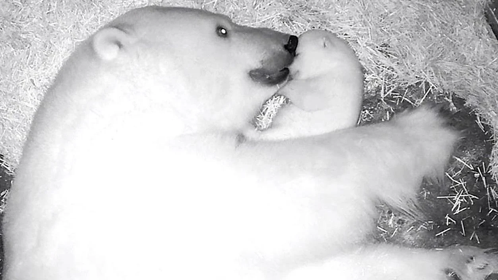 Nur e sua mãe Aurora na toca.