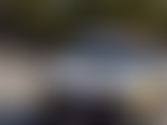 Ipiranga pede mais segurança: como podemos agir para proteger o bairro?