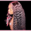 Thumbnail: 6x6 Mocha Wig