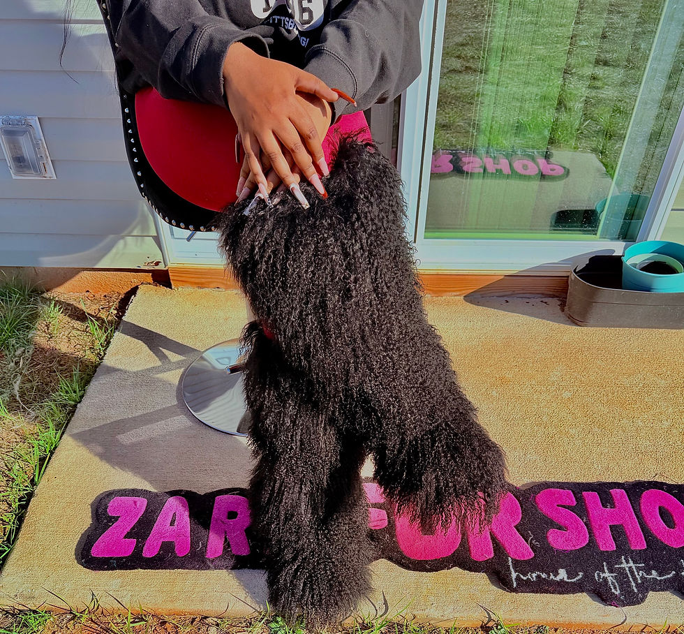 Thumbnail: ECHTE Boujee hoge volledig bedekte Mongoolse laarzen