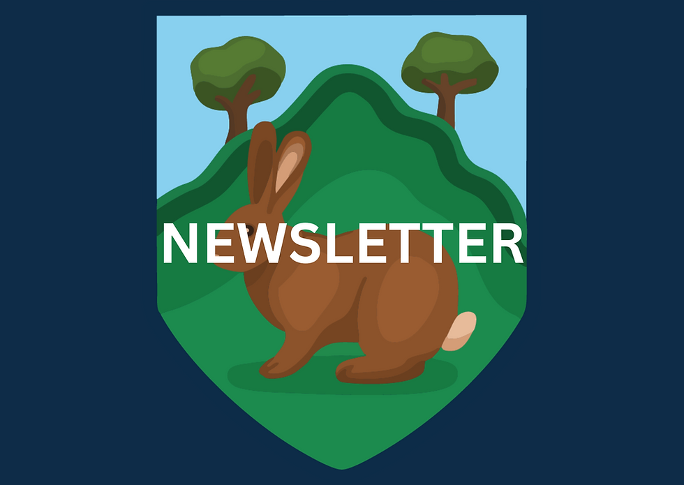 Newsletter 24th October 