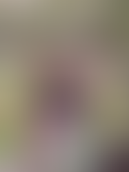 Rediscovering Your Purpose: It's Never Too Late