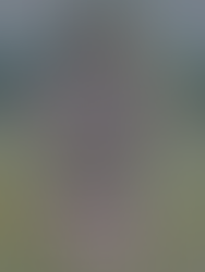 A Soft Spring with God