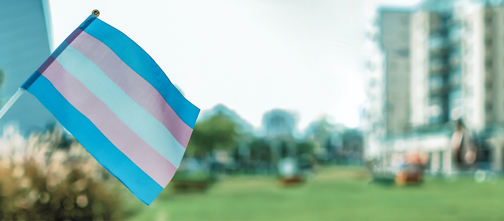 A trans flag waves in front of an urban park.