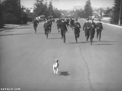 A small dog runs ahead of a group of men in suits chasing down a street. Vintage black-and-white setting with trees and parked cars.