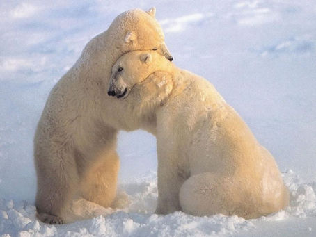 Hugging Is Healthy