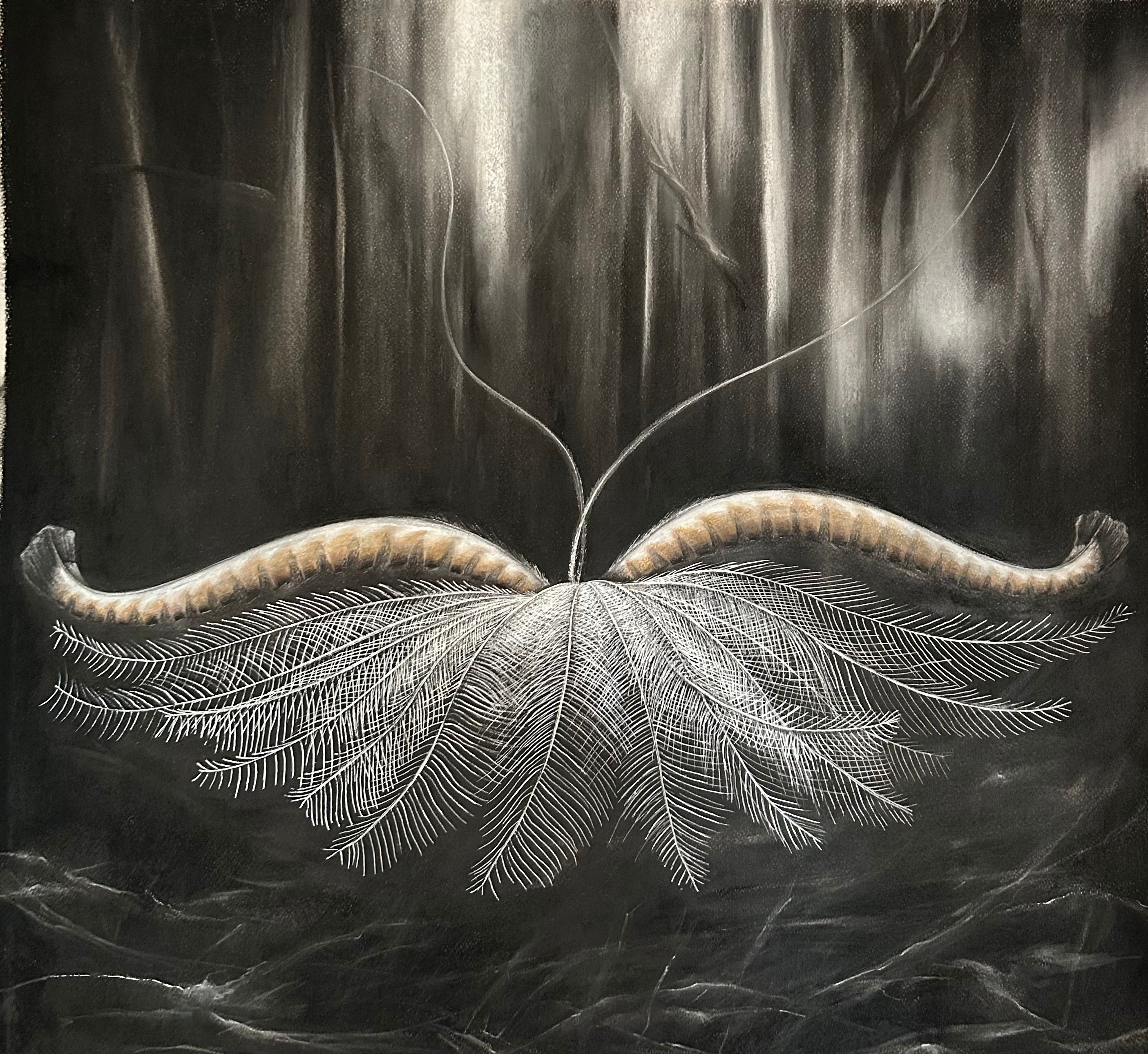 “Lyre” by Kerrie Leishman