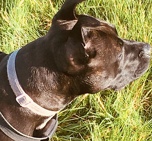 IMG_1515 (Edited).JPG