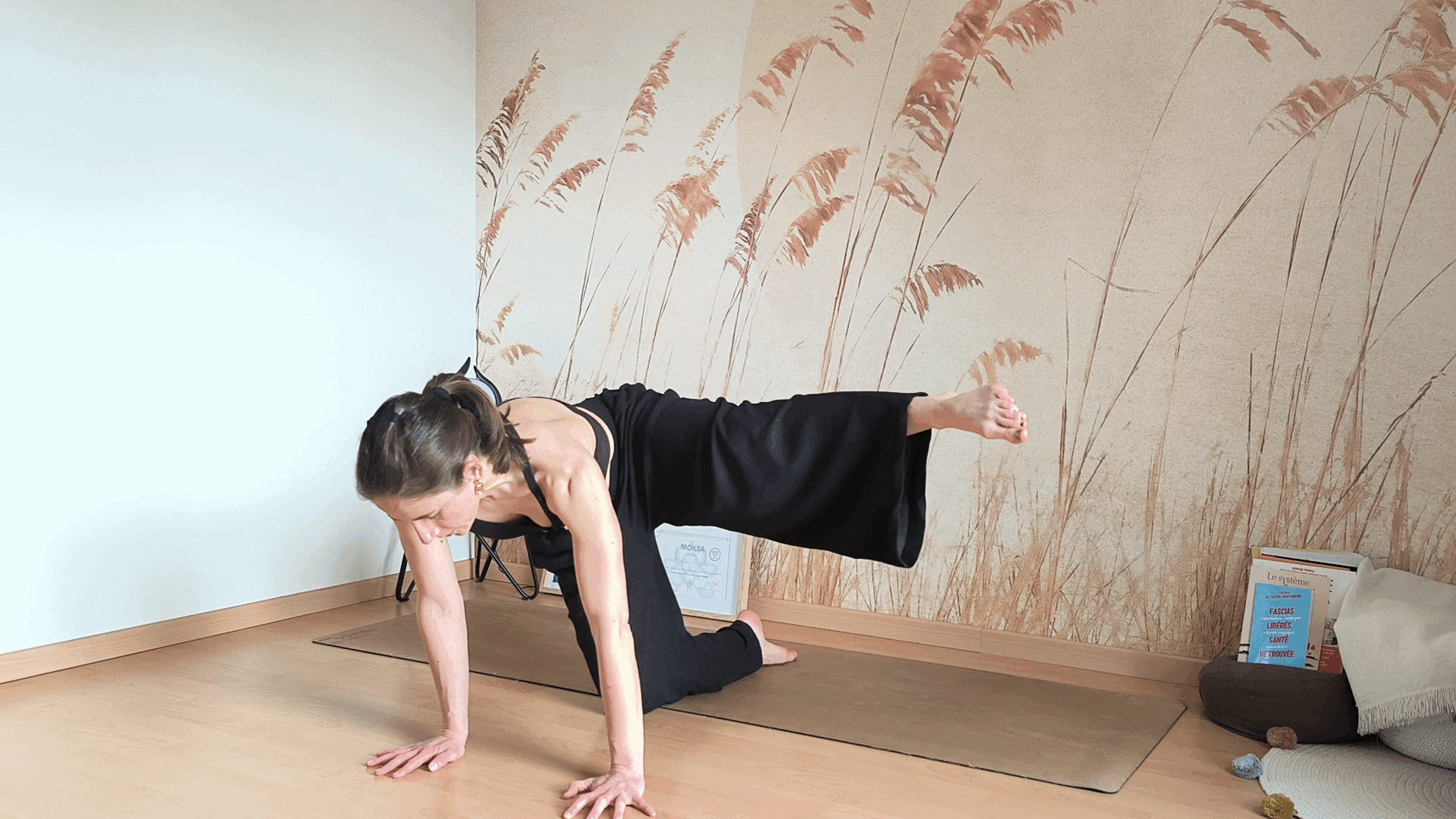 Asana Control Programme