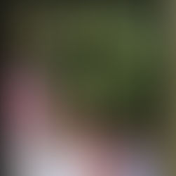 🍂秋のいろいろ🍂