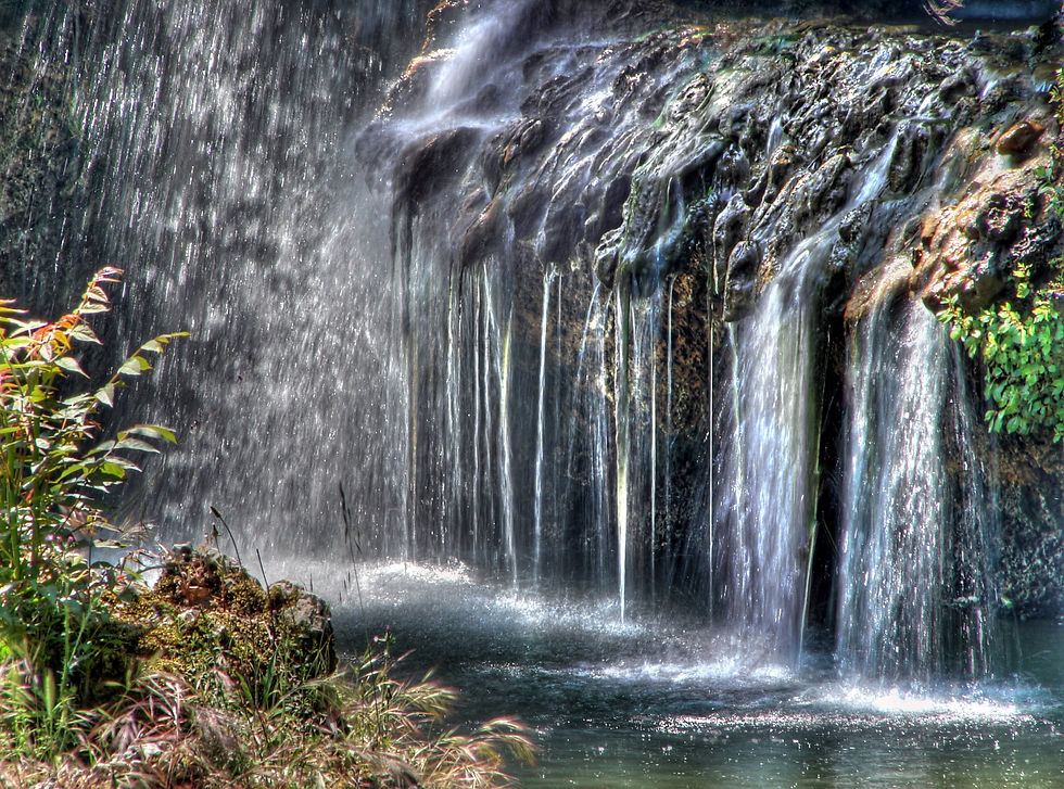 Emirgan_04526.jpg
