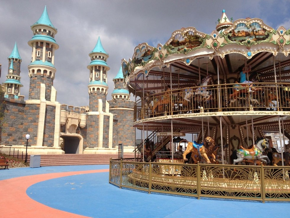 20130703040350_vialand31.jpg