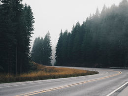 ¿Caminas en la dirección que buscas?