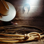 Hoedown