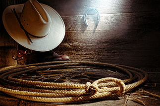 Cowboy-Hut, Hufeisen und lasso