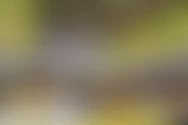 【全国中学生選手権】女子選手２名（吉川・友口）が３位入賞、他ベスト８が２名