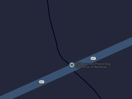 First Burrowing Owl Encounter