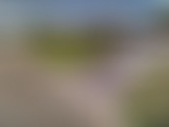 A Trippy College Life