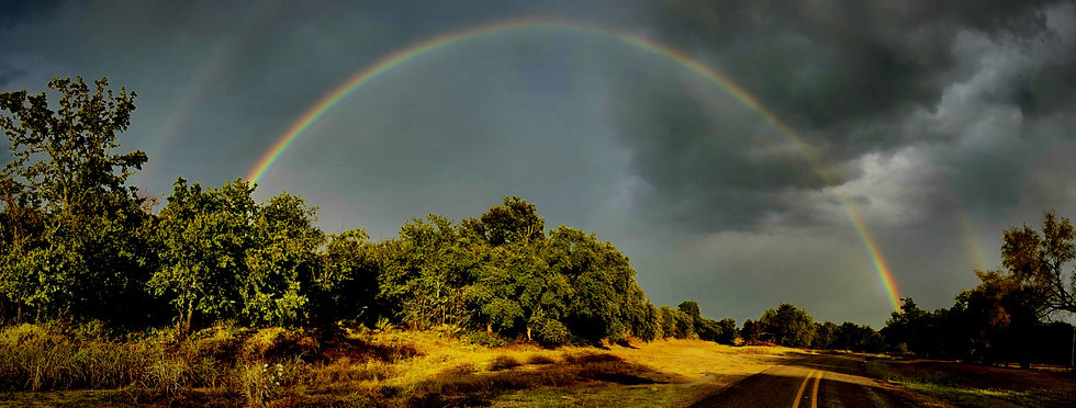 Under The Rainbow