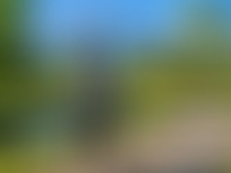 While The Century Turned