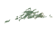 nature 2 green.png