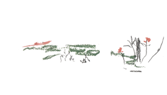 nature 3.png