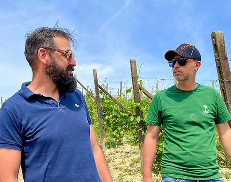 Sette Società Agricola Semplice