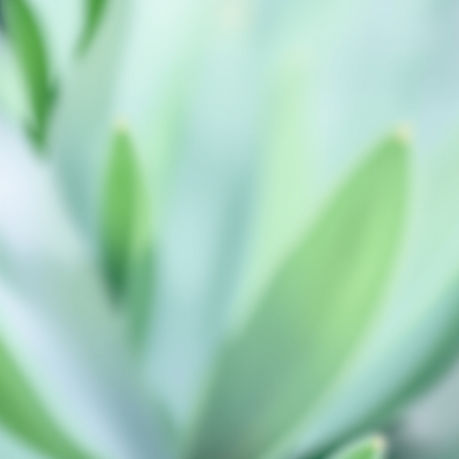 Soft and uplifting wellness background featuring blurred green leaves, gentle natural ligh