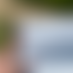 Friends of the columbia river gorge, columbia river gorge, columbia river, lyle, lyle cherry orchard, oregon hikers, washington hikers, pnw, wildflowers, balsamroot, basalt, spring, april, gorge wildflowers, yellow, oak trees, oregon, oregon landscapes, washington, washington landscapes, claire chirtsy-tirado, art, trails, columbia plateau, visual journal, sketchbook, water media, gouache, faber castell, en plein air, squirrel mop brush, art, art outside, nature sketch, sketch