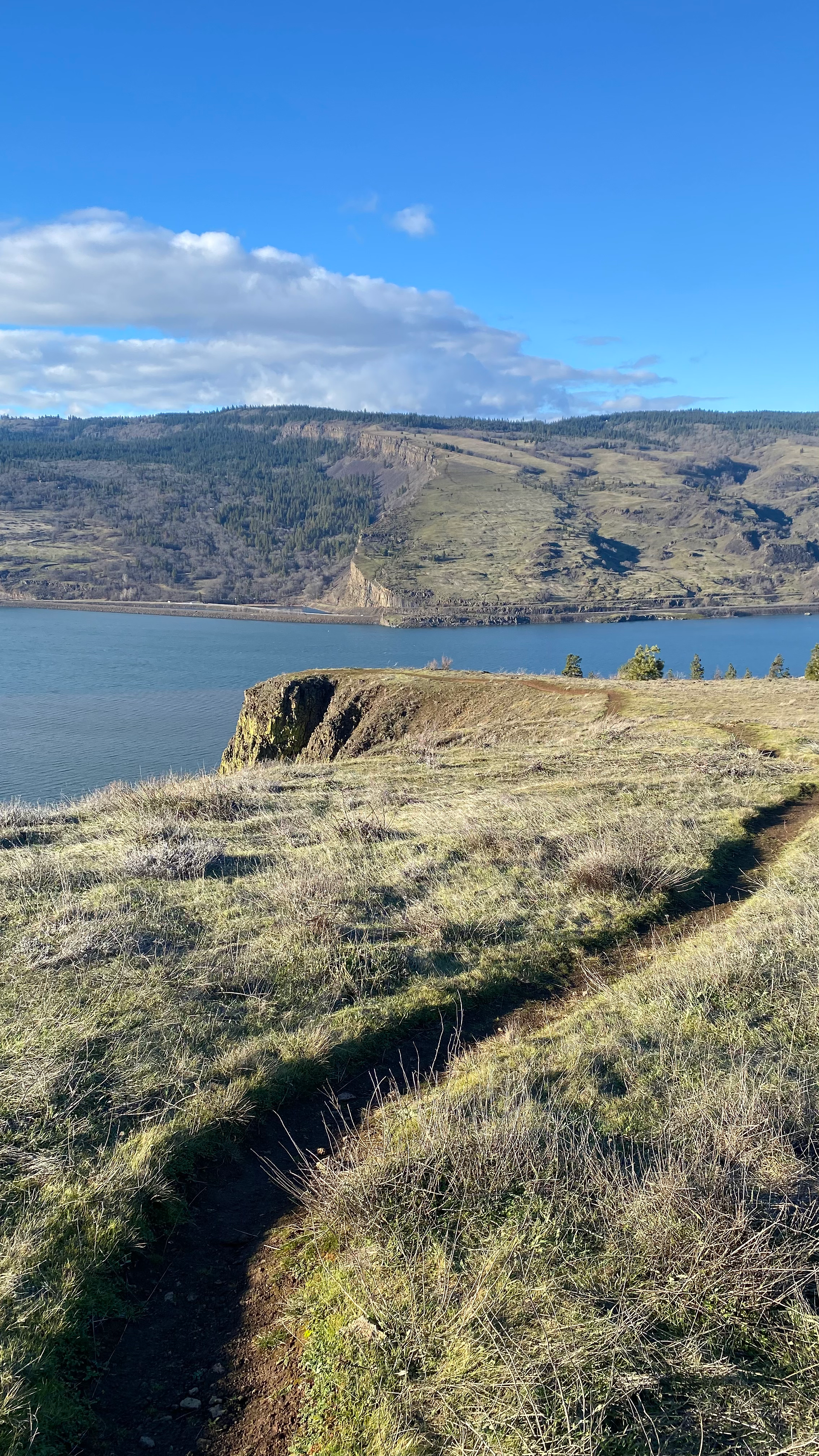 mosier, mosier plateau, historic columbia river highway, oregon landscapes, mt hood, 100 views of mt hood, trail, trails, oregon hikers, ponderosa pines, oregon white oak, paint outside, en plein air, sketchbook, nature sketch, nature painting, landscape painting, pacific northwest artist, pacific northwest, oregon vistas, basalt, pnw artist, oregon artist, visual journal, nature, all season hiker, washington landscapes, columbia plateau, oregon rivers, landmasses, coyote wall