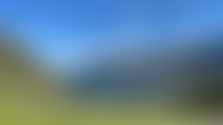 Friends of the columbia river gorge, the Dalles, columbia river gorge, columbia river, lyle, lyle cherry orchard, oregon hikers, washington hikers, pnw, wildflowers, balsamroot, basalt, spring, april, gorge wildflowers, yellow, oak trees, oregon, oregon landscapes, washington, washington landscapes, claire chirtsy-tirado, art, trails, columbia plateau, outdoors, pnw plants, nature preserve