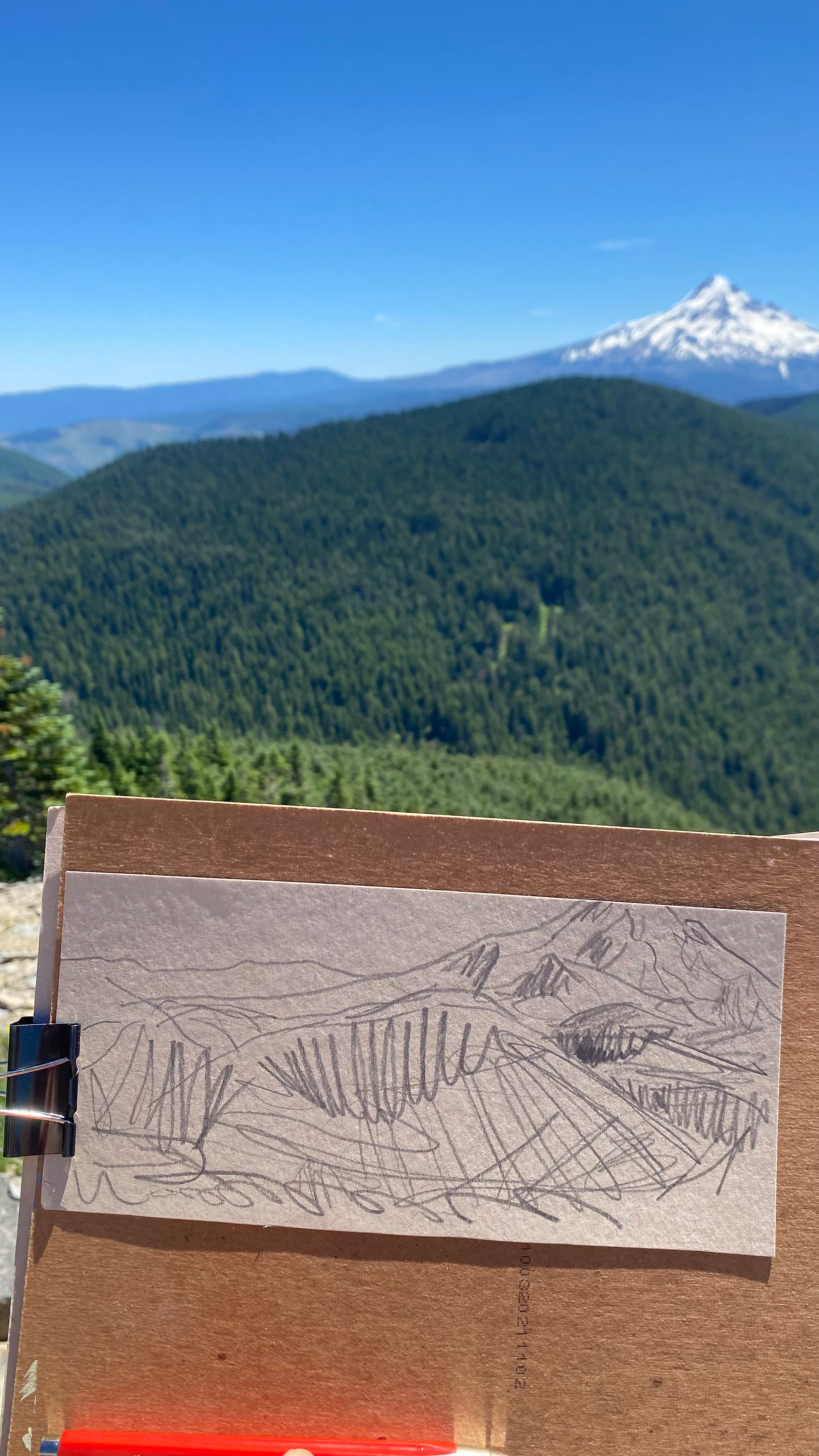 mt hood, 100 views of mt hood, mark o'hatfield wilderness, wilderness, oregon wilderness, wahtum lake, chinidere mountain, late summer, oregon summer, july forever, oregon hike, oregon hikers, mt hood hikes, cascade mountains, oregon cascades, nature blog, nature journal, happy trails, nature sketch