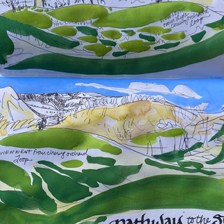 Green, Friends of the columbia river gorge, columbia river gorge, columbia river, lyle, lyle cherry orchard, oregon hikers, washington hikers, pnw, wildflowers, balsamroot, basalt, spring, april, gorge wildflowers, yellow, oak trees, oregon, oregon landscapes, washington, washington landscapes, claire chirtsy-tirado, art, trails, columbia plateau, visual journal, sketchbook, water media, gouache, faber castell, en plein air, squirrel mop brush, art, art outside, nature sketch, sketch