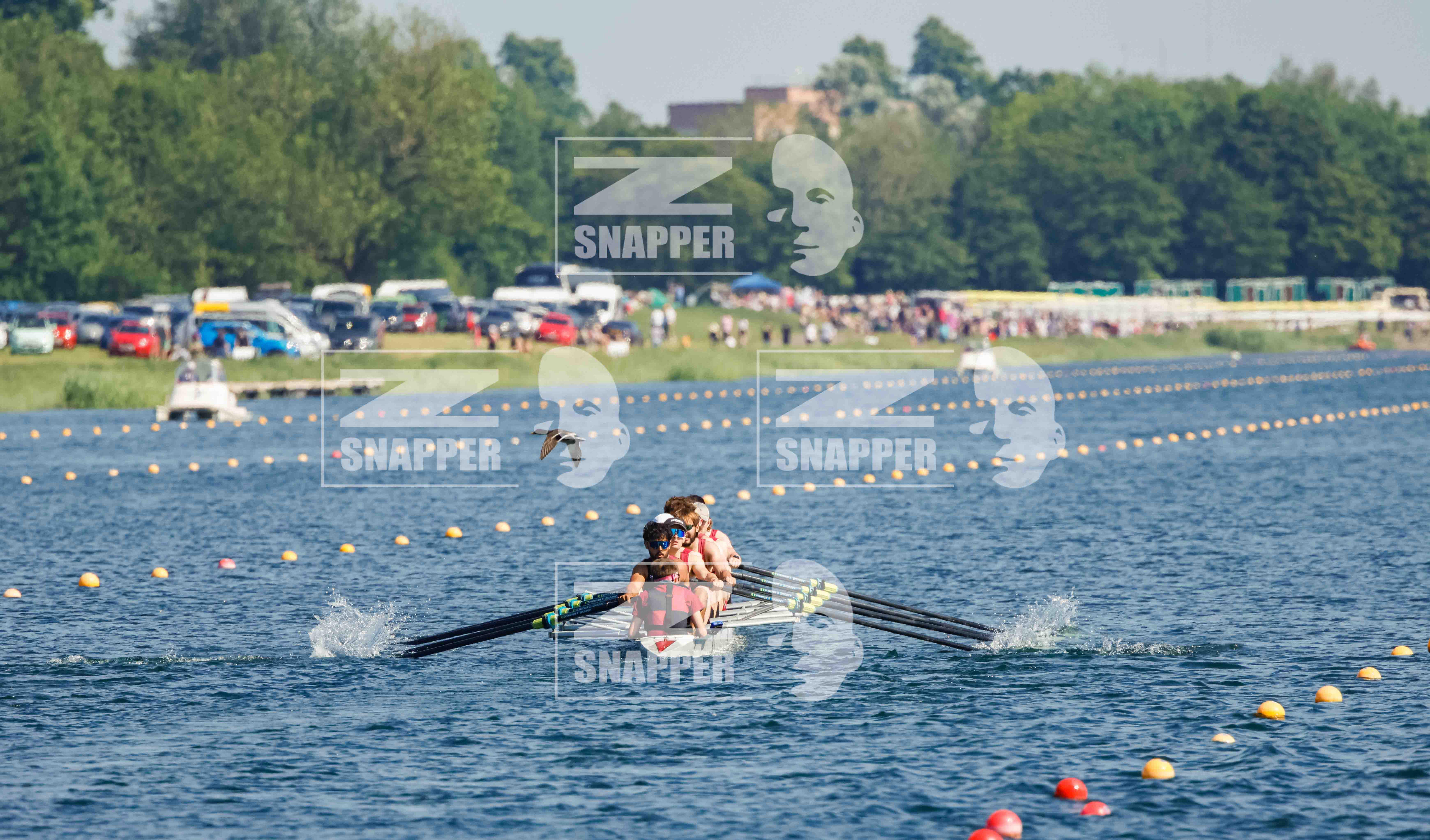 The Metropolitan Regatta 2024