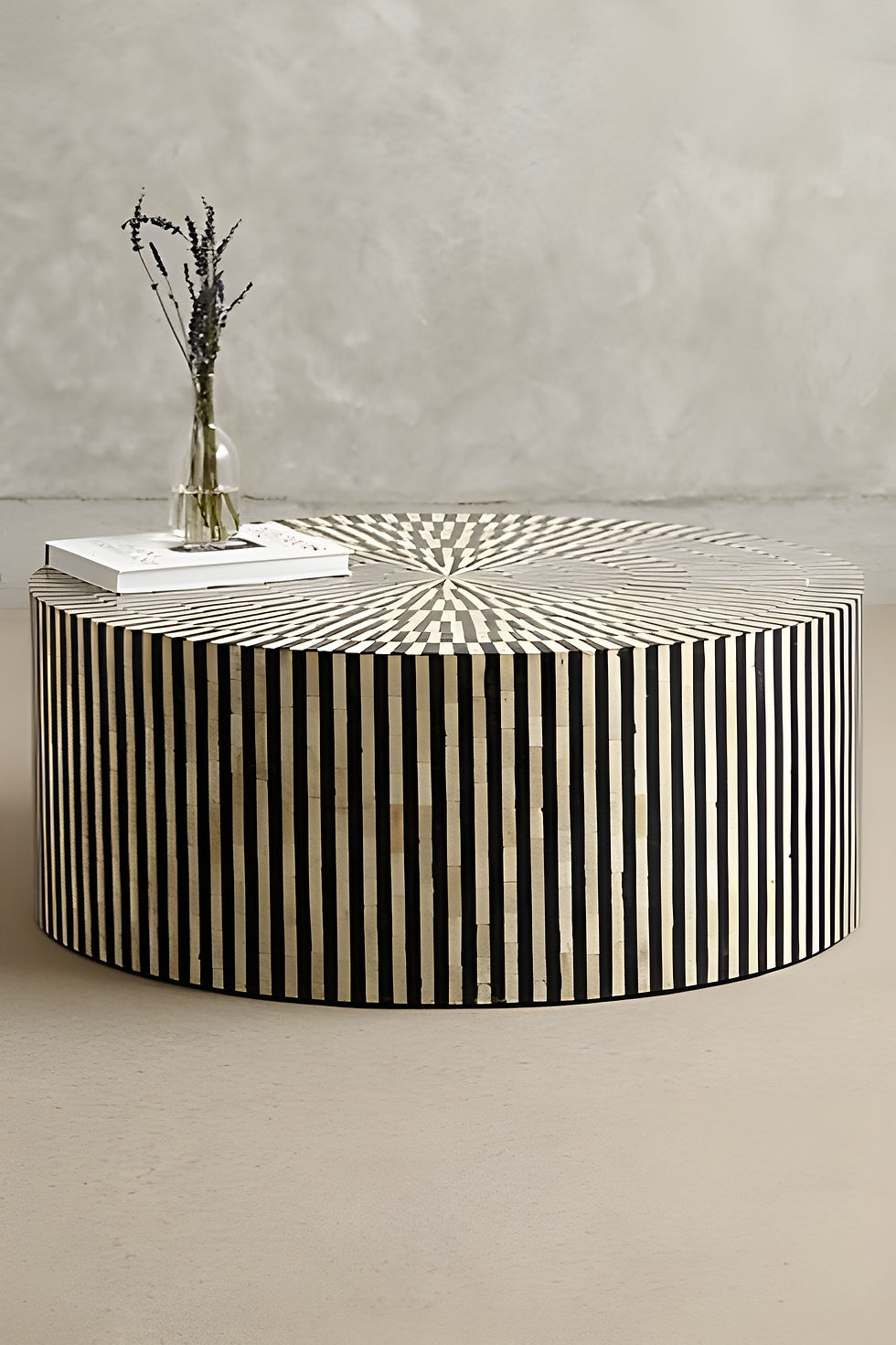 The Niradham Bone Inlay Coffee Table | The Jodhpore