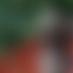 　今年の節分は、二月二日