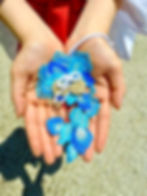 S__33218652_0.jpg