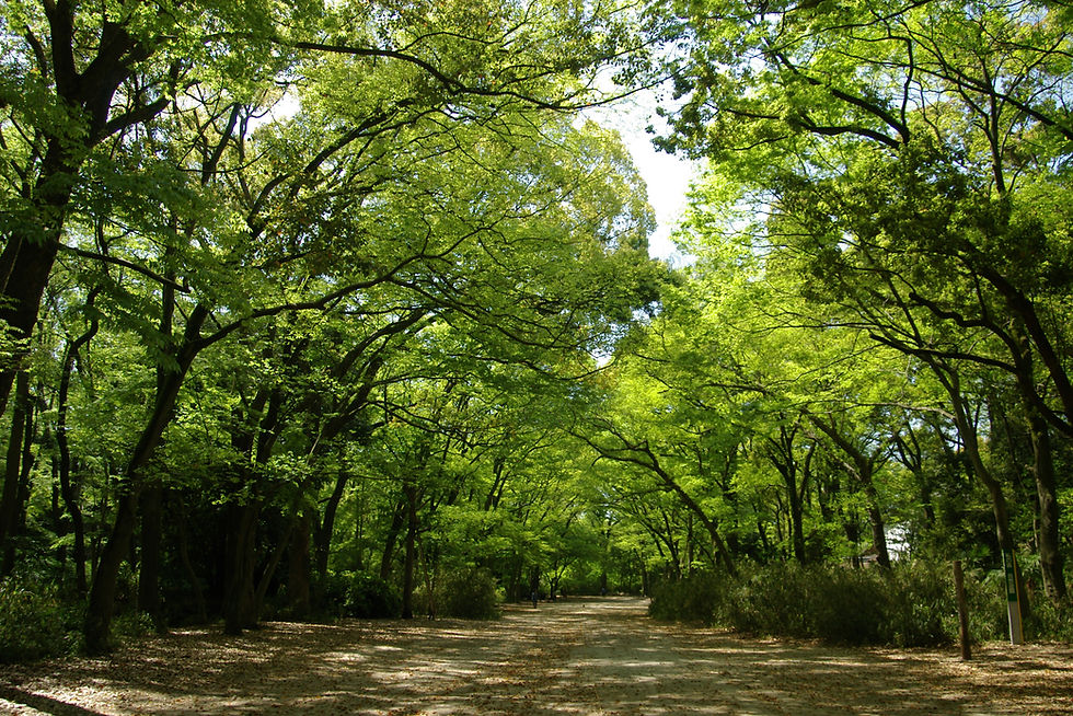 賀茂御祖神社(かもみおやじんじゃ)・下鴨神社(しもがもじんじゃ)