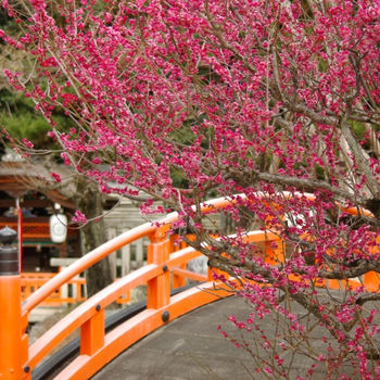 神社資料を読む 10