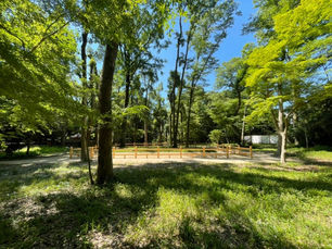 糺の森を描き続けて五十年