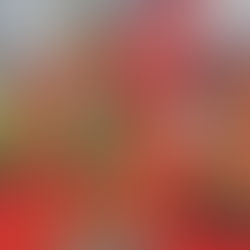 ウノハナ・ナラ・ヌルデ