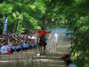 今年の葵祭１賀茂祭騎射神事（かものまつりのむまゆみじんじ）