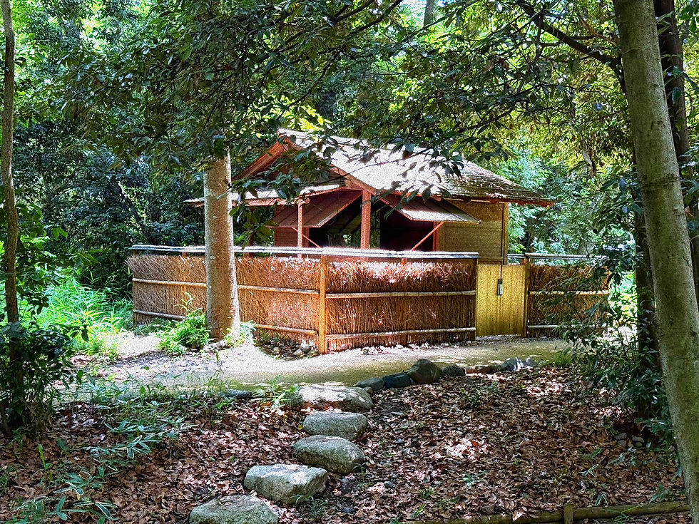 S__4456480_0_edited.jpg