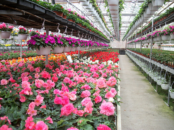 Woodhill Garden Centre