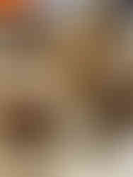 Pens turned on the lathe